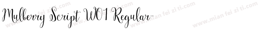 Mulberry Script W01 Regular字体转换
